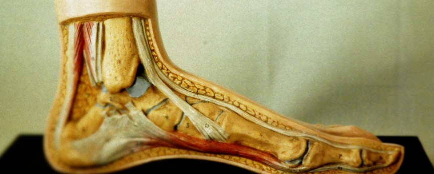 Calzados Ortopédicos Asensio