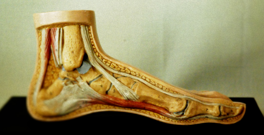 Calzados Ortopédicos Asensio